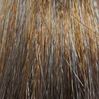 Краска для волос Matrix SoColor Pre-Bonded 8SP светлый блондин серебристый жемчужный 90 мл