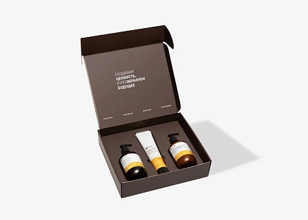 Набор INSIGHT DRY HAIR (шампунь 350 мл, маска 200 мл, кондиционер 350 мл) 