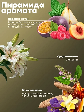 Гель для душа парфюмированный Manita Professional KIRKE 540 в индивидуальной упаковке 460 мл 