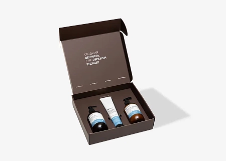 Набор INSIGHT DAILY USE (шампунь 350 мл, маска 200 мл, кондиционер 350 мл) 