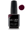 Гель-лак 101 LUXIO MYSTERY 15мл 