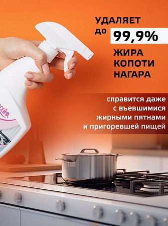 АБСОЛЮСЕЙФ 2 в 1 Антижир с пенным триггером, 500 мл 