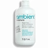 Бальзам пептидный для сухих и ломких волос AMBIENT MOISTURE 250 мл 